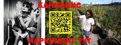 шишки Гусев