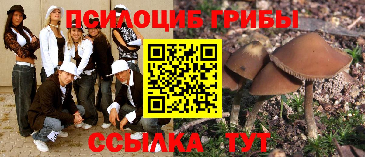 купить закладку  Вход с VPN  Нальчик  Галлюциногенные грибы Cubensis  Псилоцибиновые грибы мухоморы 